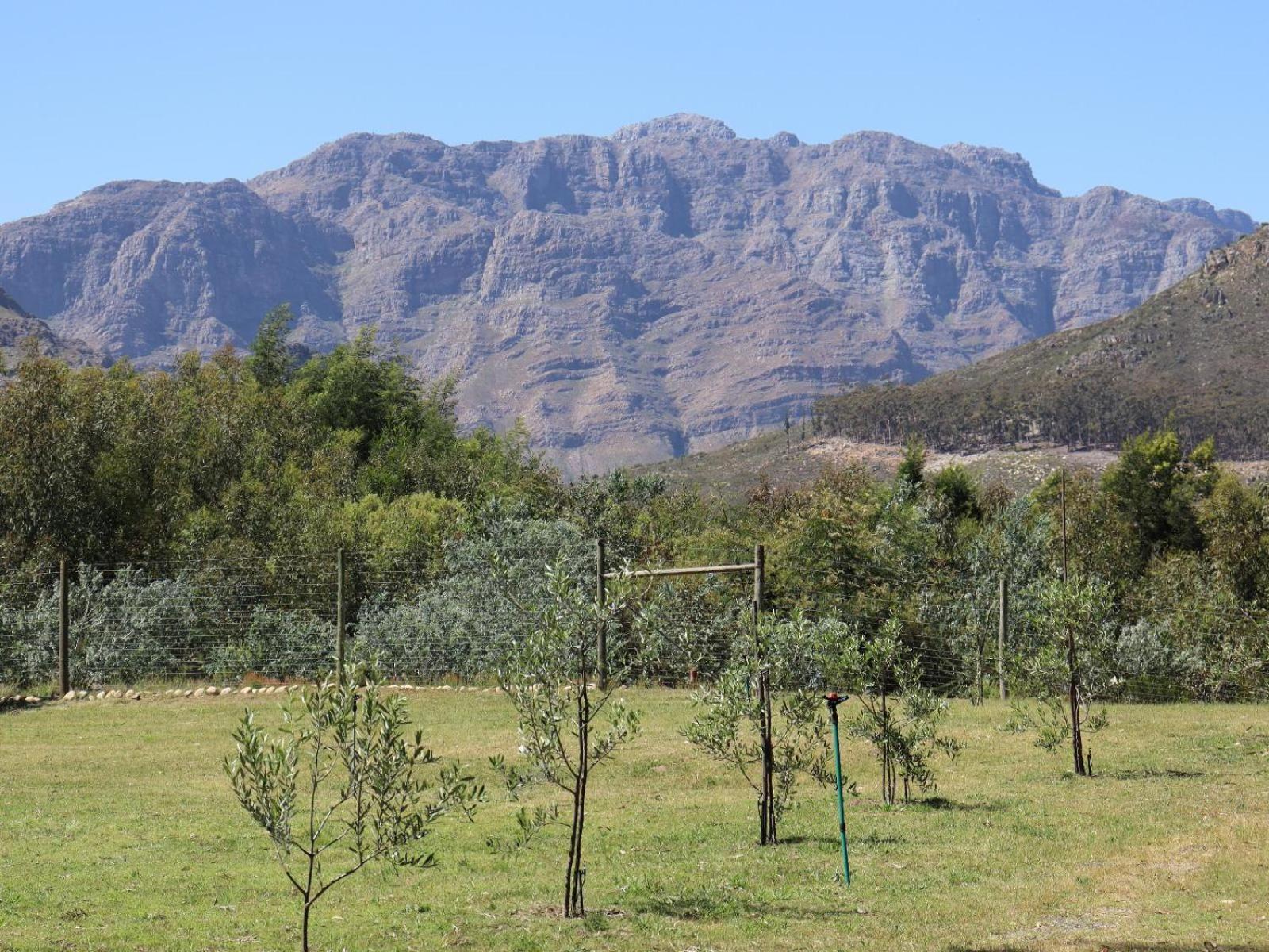 La Ferme Guest Farm - Hot Tubs Villa Franschhoek Exterior foto