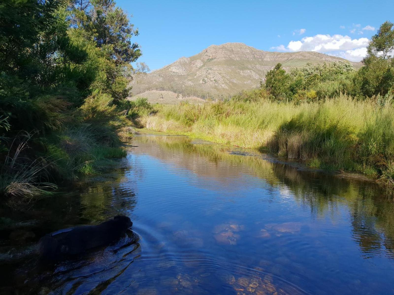 La Ferme Guest Farm - Hot Tubs Villa Franschhoek Exterior foto