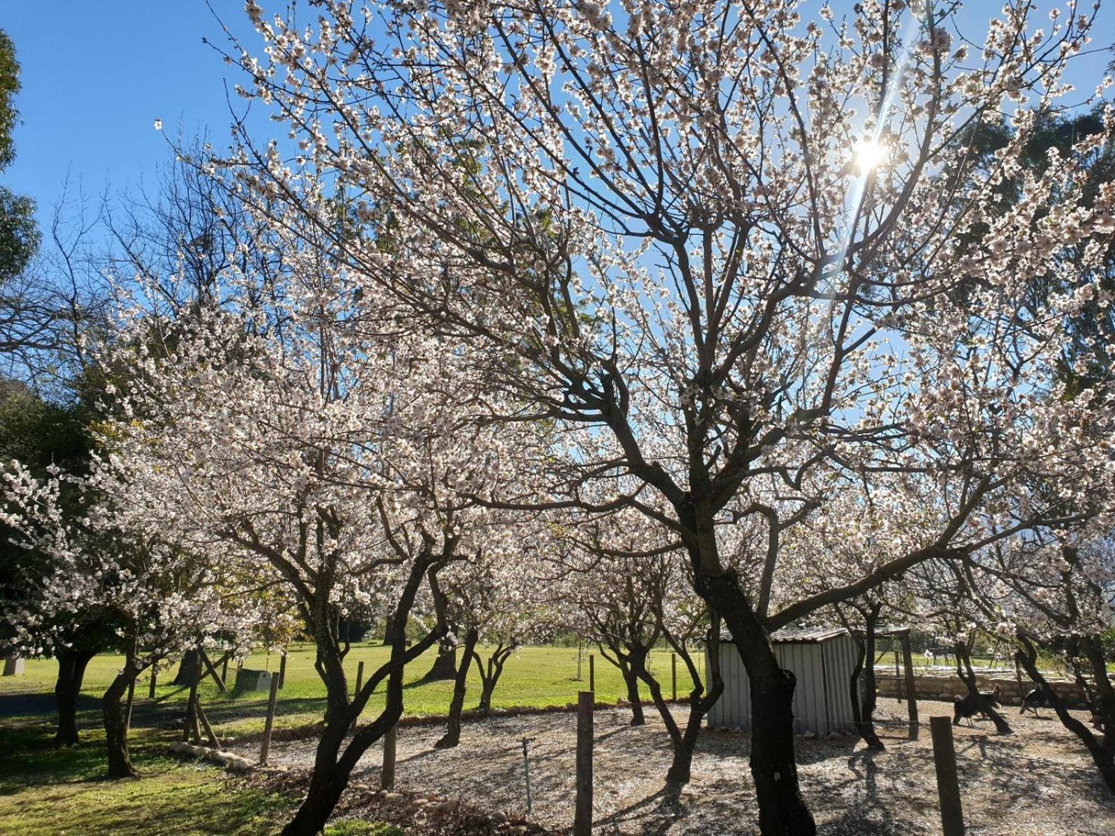 La Ferme Guest Farm - Hot Tubs Villa Franschhoek Exterior foto